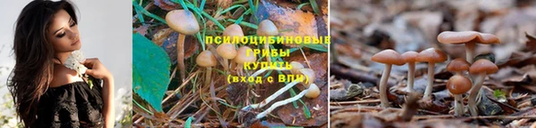 герыч Навашино