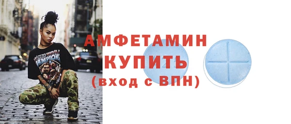 сатива Надым