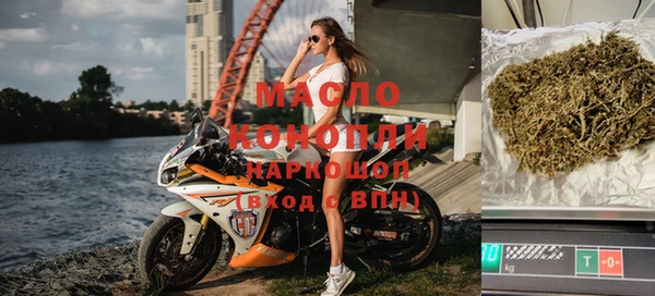 сатива Надым