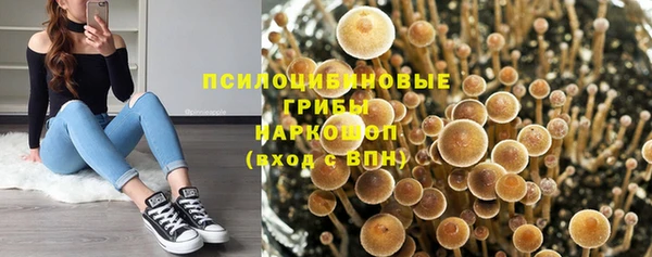 сатива Надым