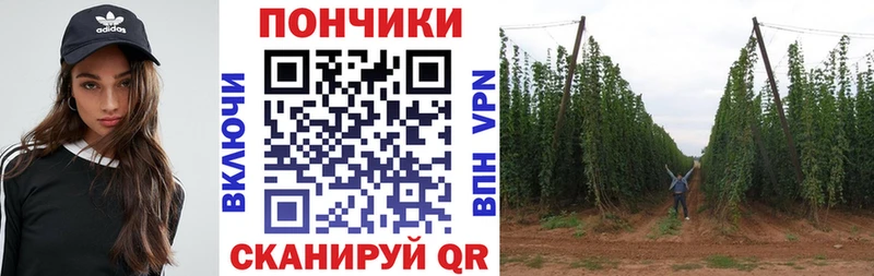 Каннабис индика  Монино 